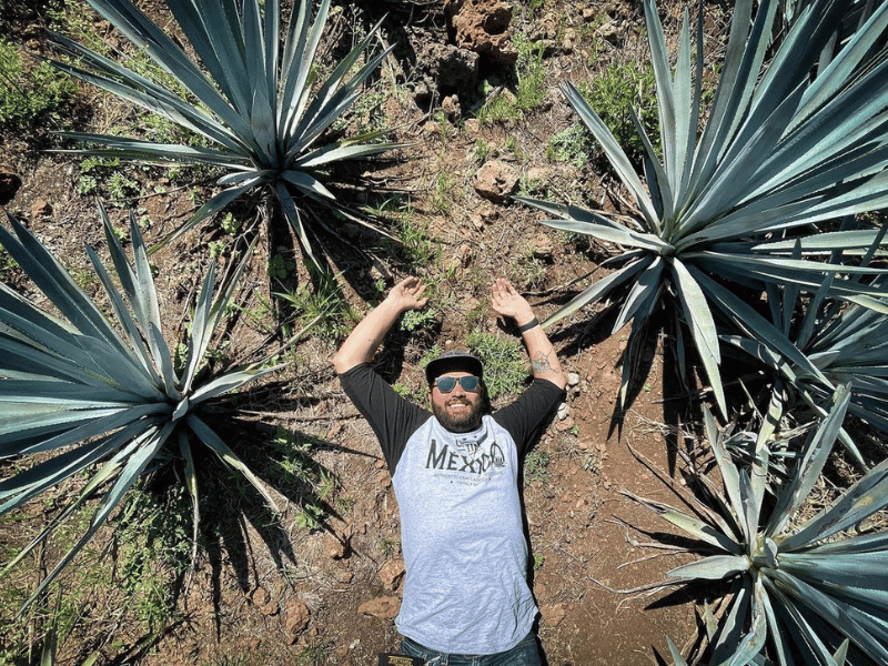 Tequila Distillery