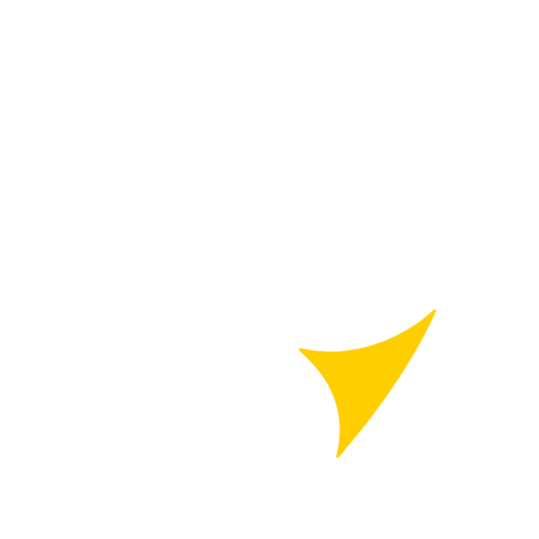 Koyote Tours