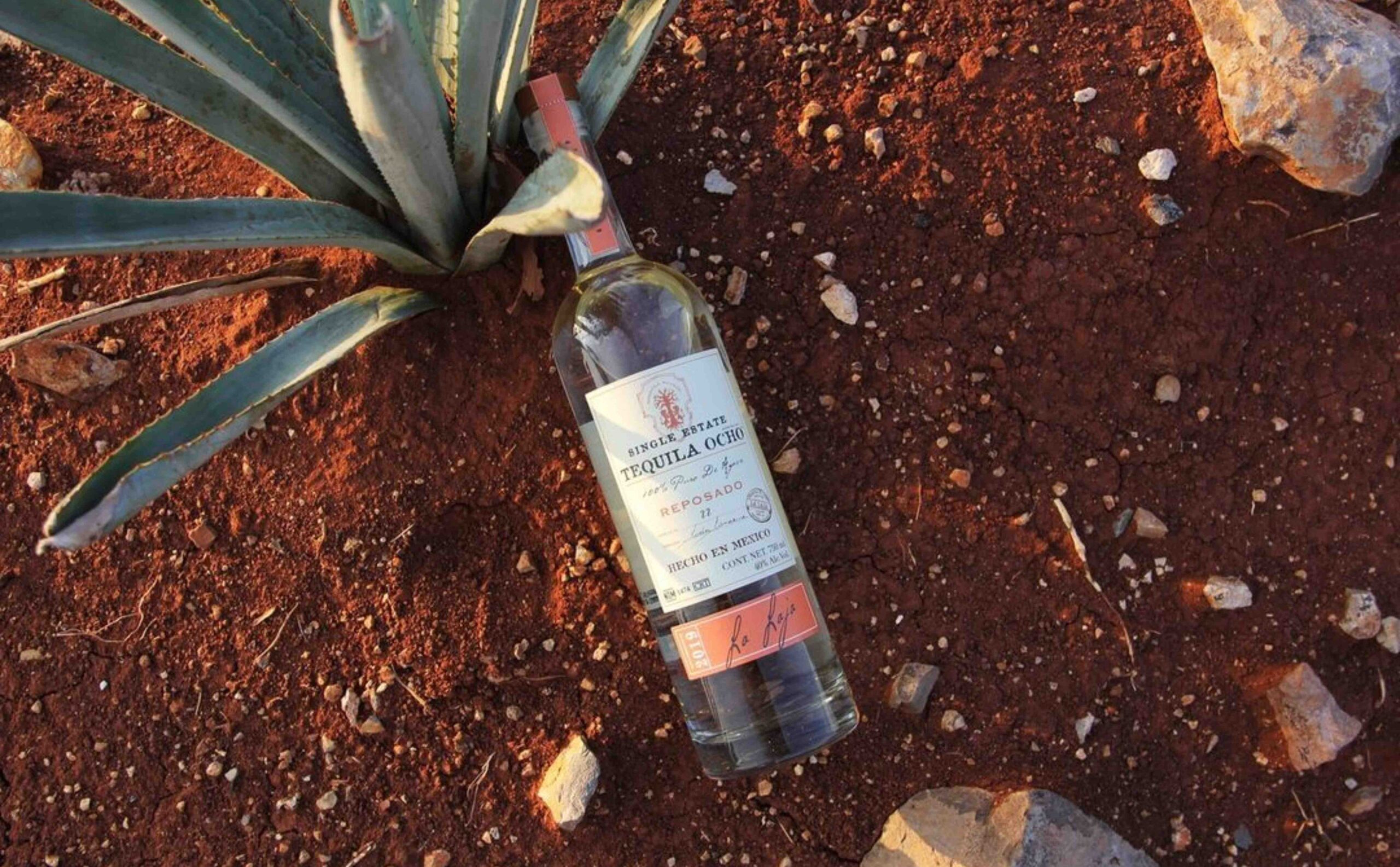 El Pandillo Distillery