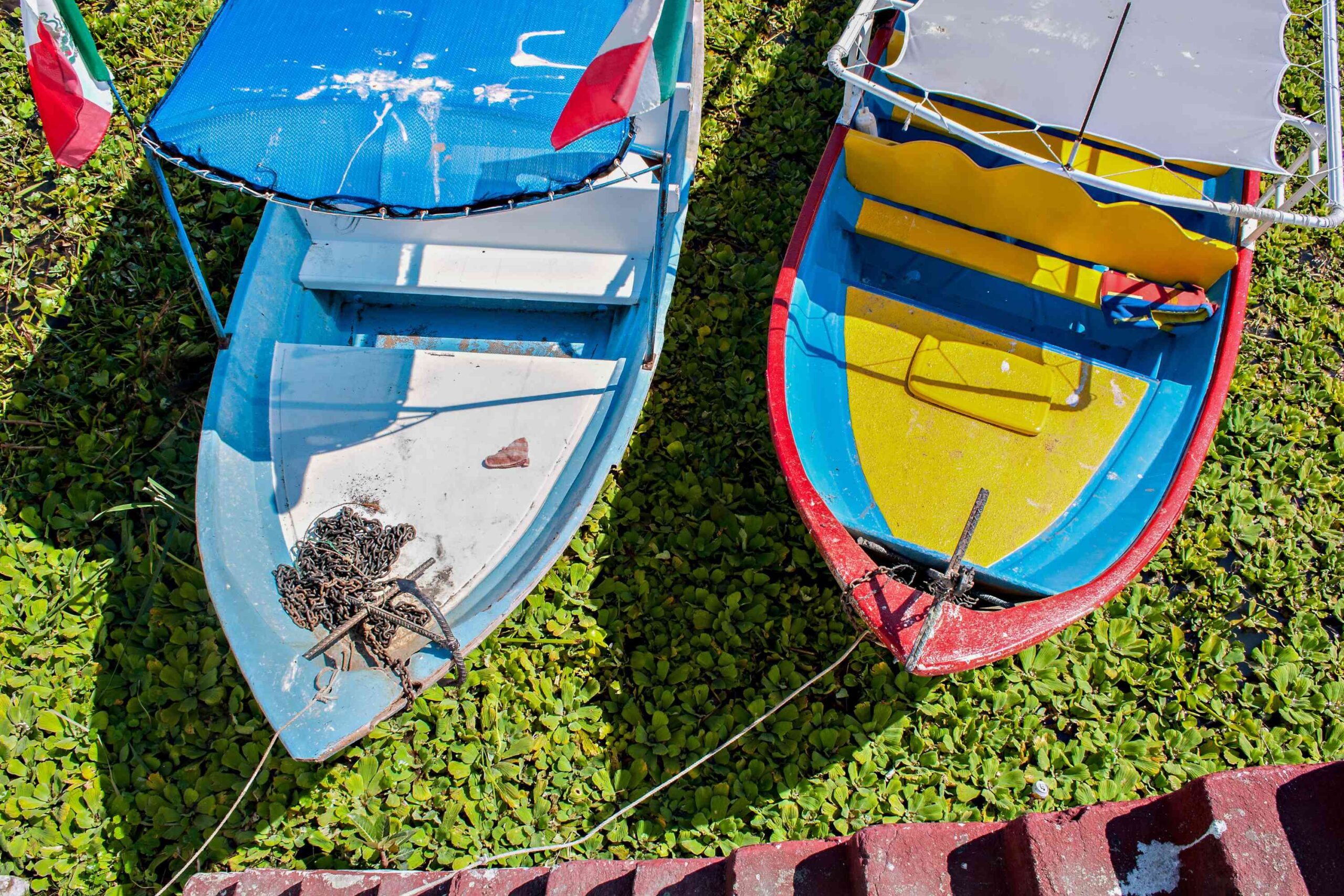 Chapala Lake Transfer