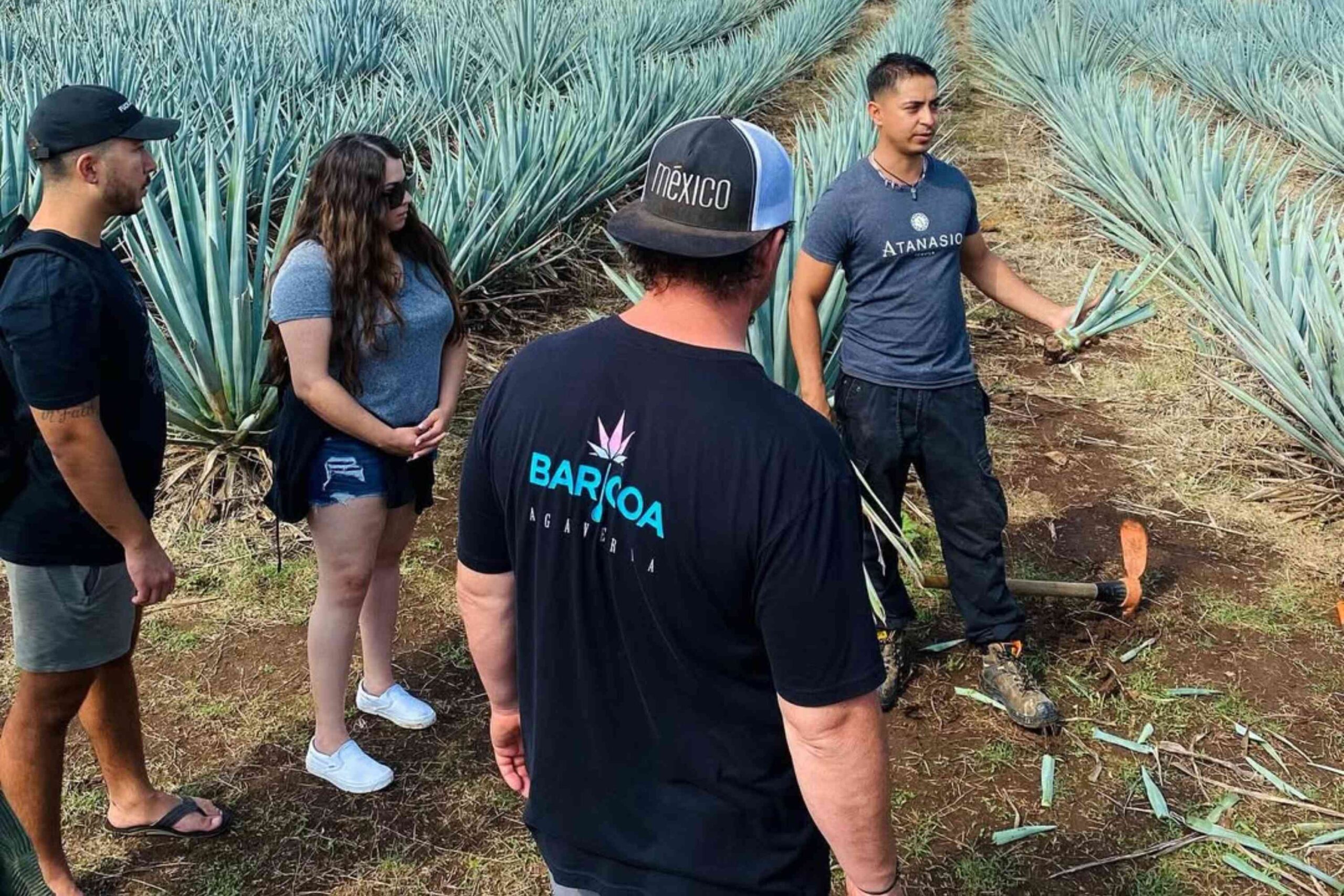 Tequila Tasting