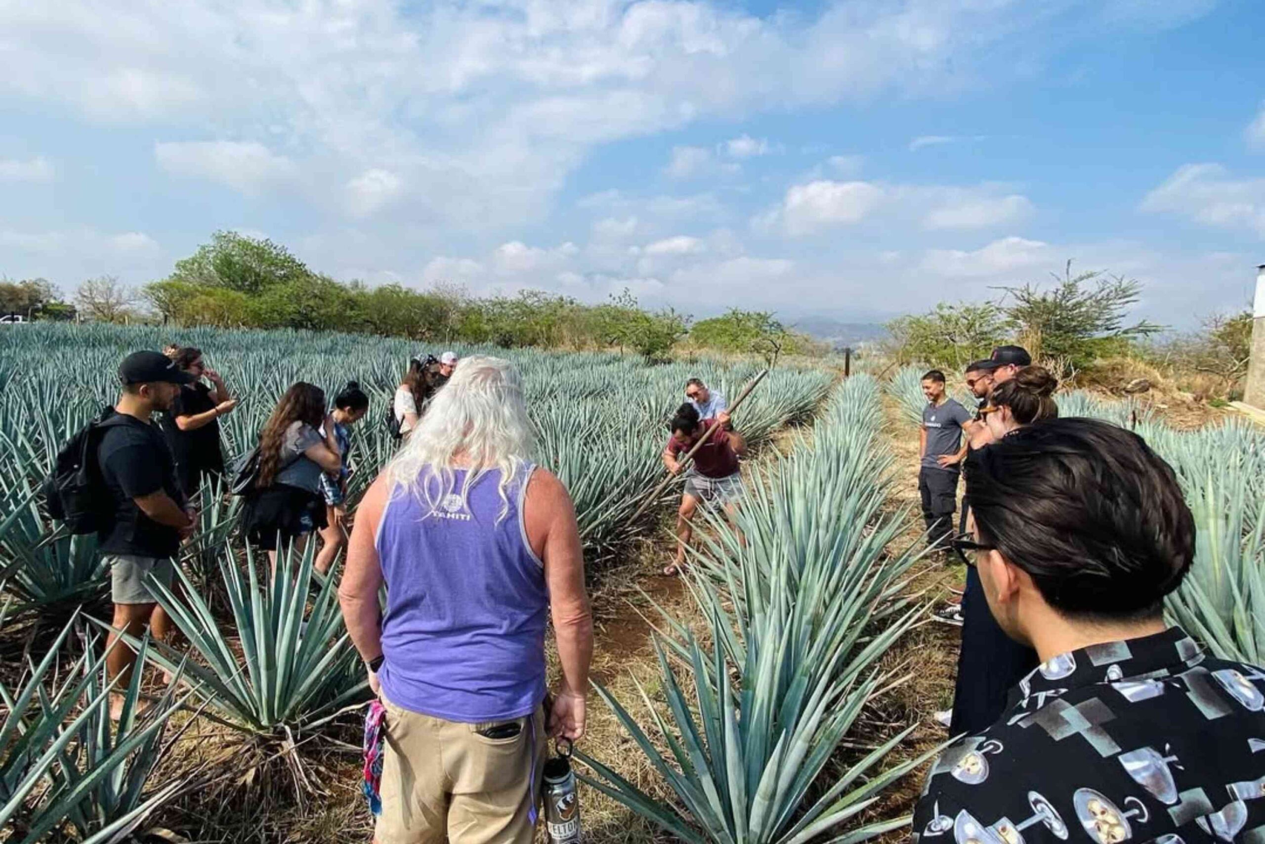 Paraiso Azul