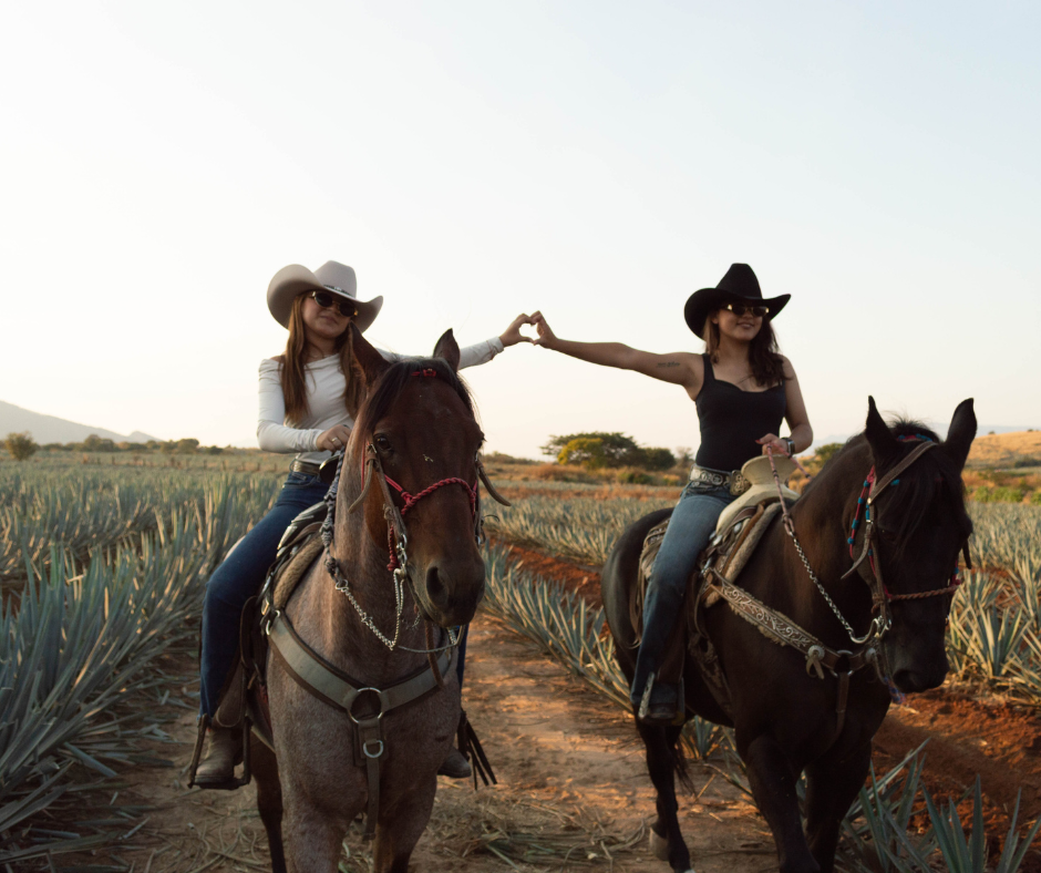 Don Jacinto Horseback Ride