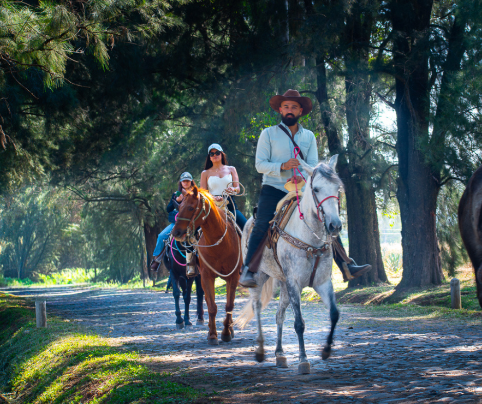 Horseback Route B