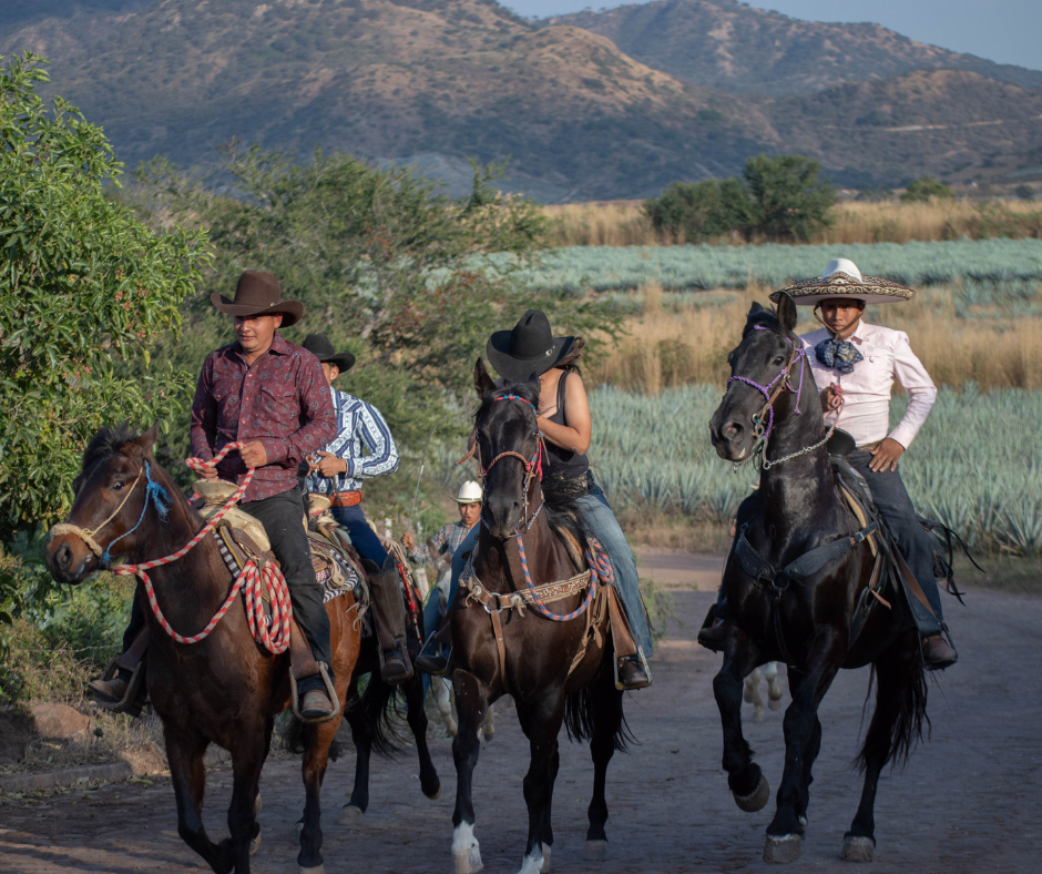 Don Canuto Horseback Ride