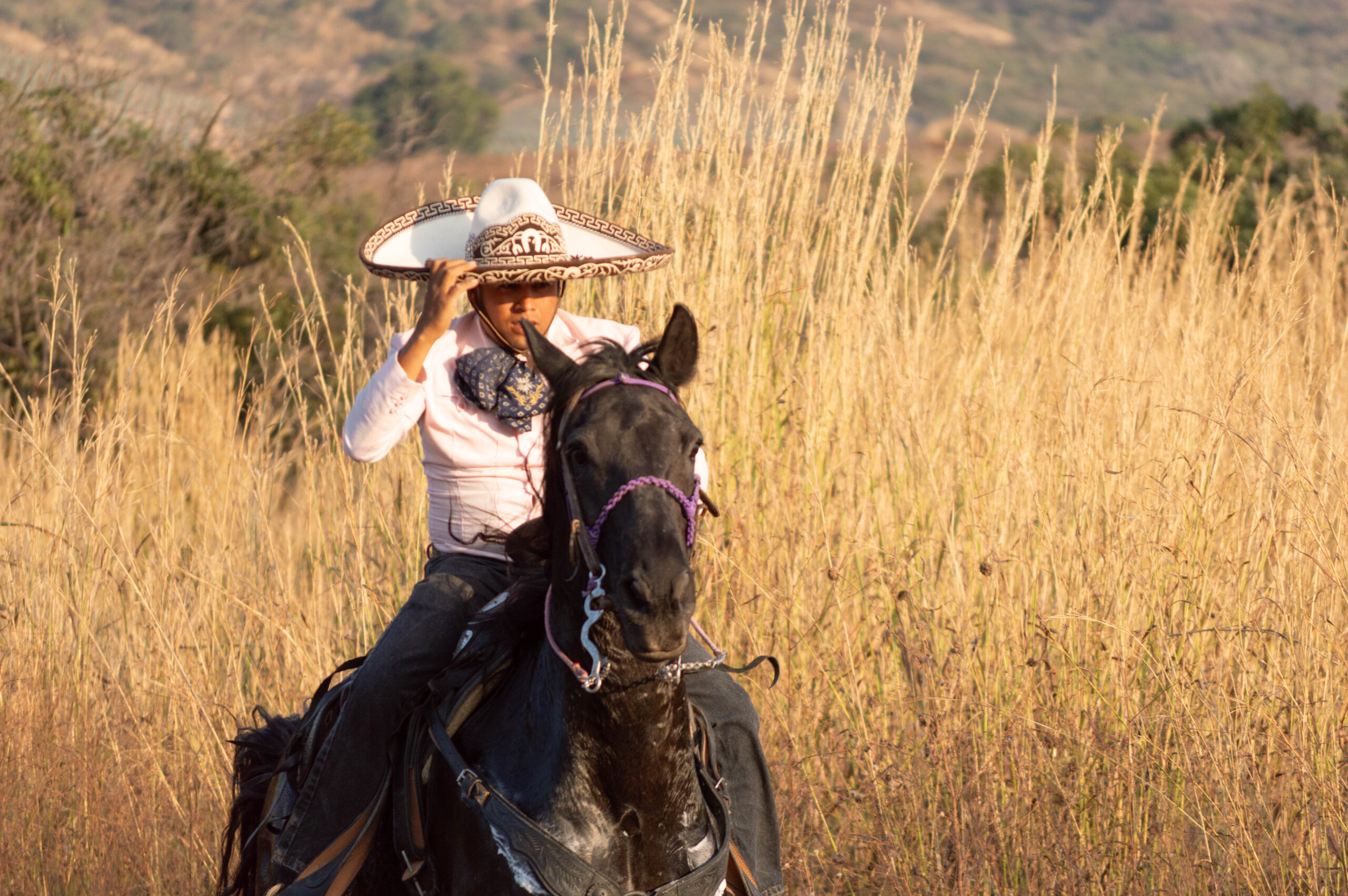 Tequila country landscape
