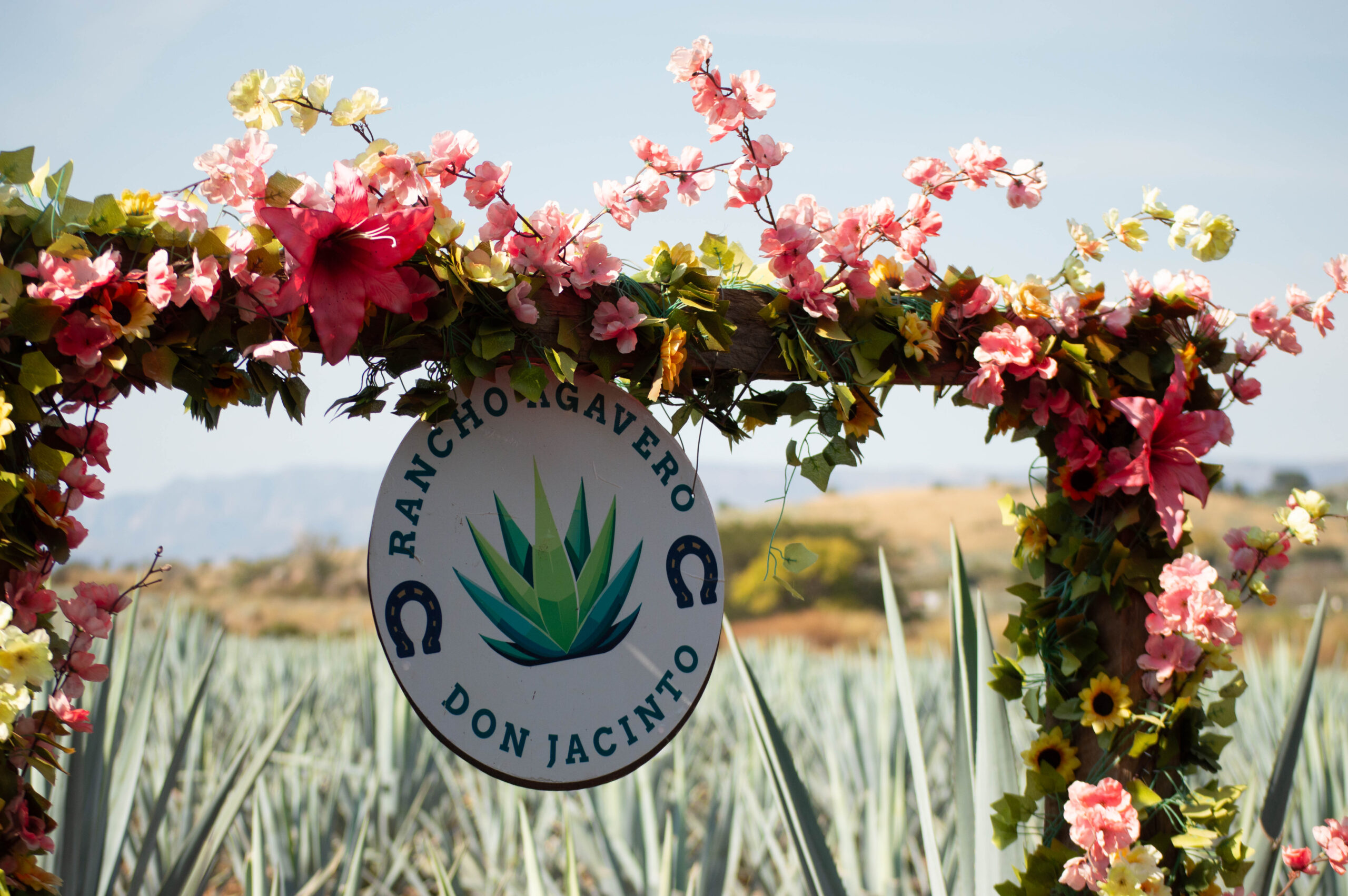 Rancho Agavero Don Jacinto