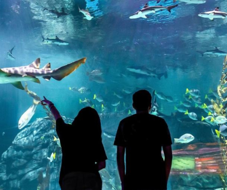 Guadalajara Aquarium - Skip the line tickets for largest aquarium in Latin America