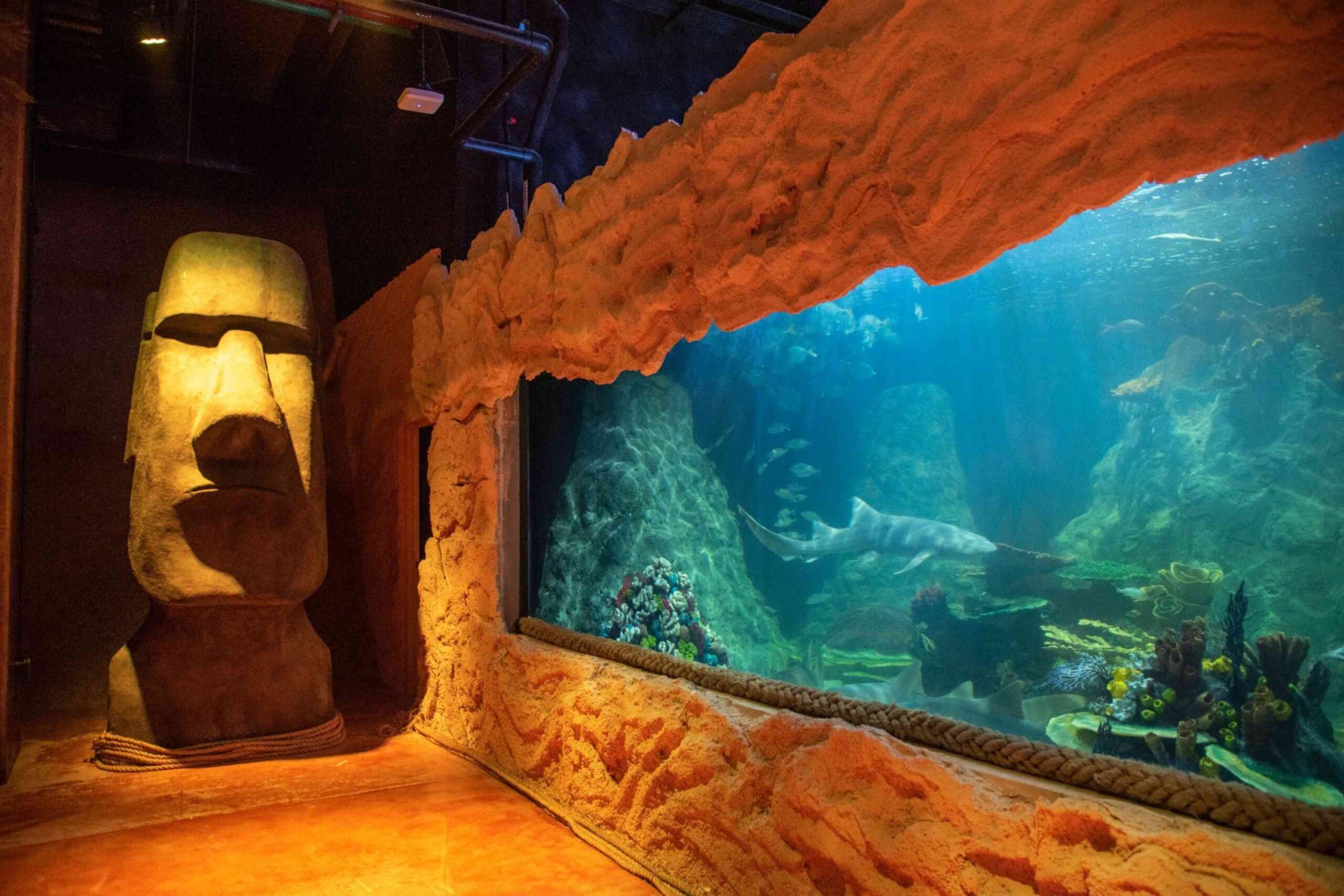 Acuario Michin