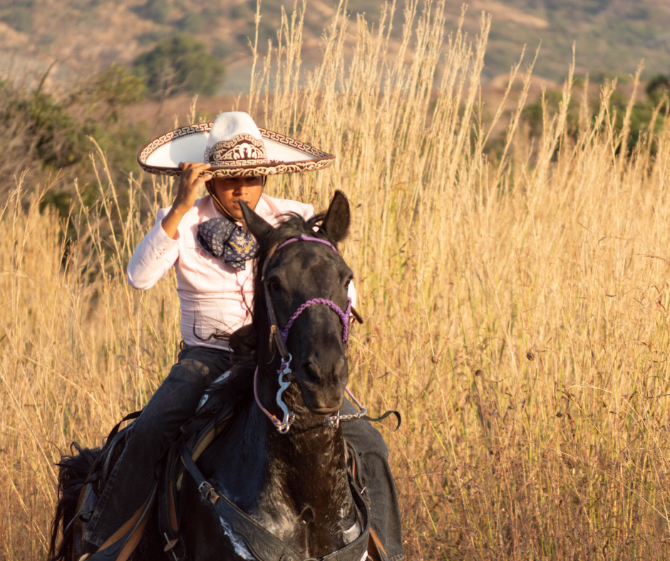 Horseback Riding Through Agave Fields - Equestrian experience in El Arenal