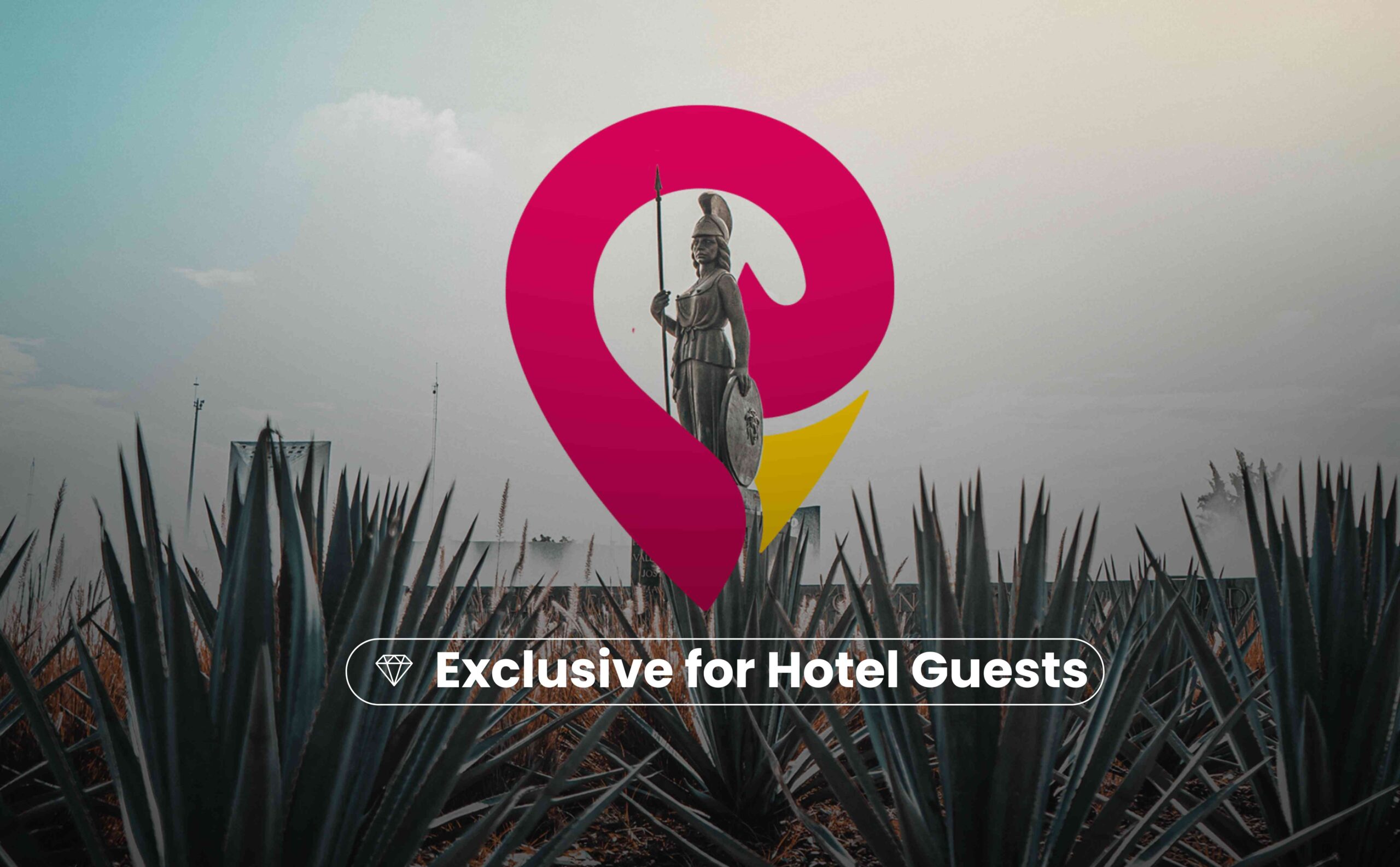 Koyote Tours - Exclusive Hotel Offers